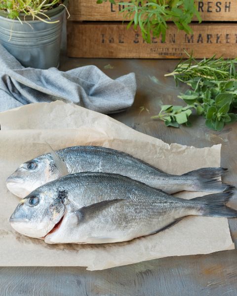 The Orbetello Bream